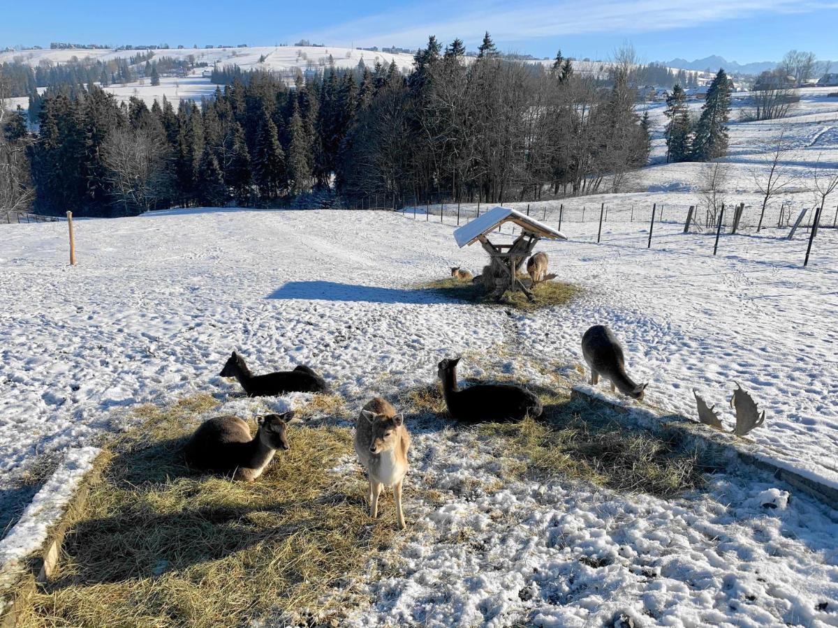 Osrodek Wypoczynkowy U Bartka Czerwienne Exterior foto